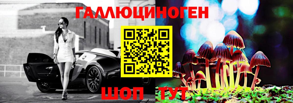 Псилоцибиновые грибы Cubensis  Вход с VPN  Евпатория 